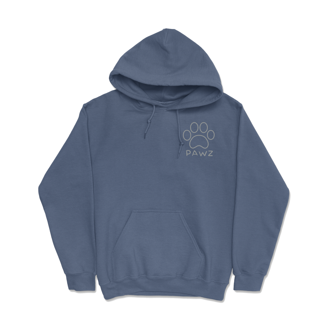 USA Cruiser (Adult Hoodie)